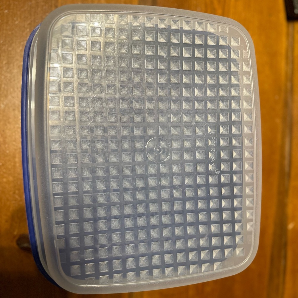 Tupperware Large Season and Serve marinade container
